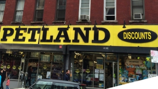 Τέλος εποχής για την αλυσίδα Petland Discounts