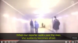 ΝΑ ΓΙΑΤΙ ΘΕΛΟΥΝ ΝΑ ΕΓΚΛΩΒΙΣΟΥΝ ΕΚΑΤΟΜΜΥΡΙΑ ΠΡΟΣΦΥΓΕΣ ΣΤΗΝ ΕΛΛΑΔΑ! (βίντεο)