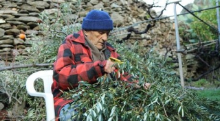 Στους 10 πιο "γερασμένους" νομούς της Ευρώπης οι νομοί Ευρυτανίας, Γρεβενών, Άρτας και Σερρών