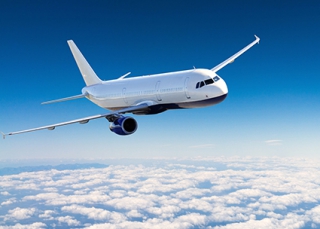 Νεκρός σκύλος σε υπερατλαντική πτήση