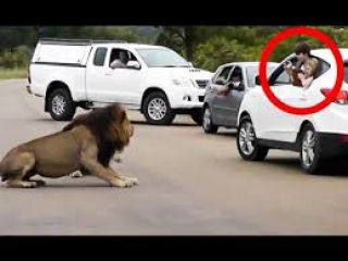 Shocking Video that made the whole world cry/Βιντεο που εκαναν τον κοσμο να κλαψει!