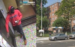 Νέα Υόρκη: Πυροβολισμός και καταδίωξη στο Λονγκ Άιλαντ Σίτυ