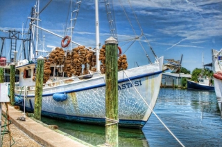 Τάρπον Σπρινγκς: Ξενάγηση στο θρυλικό ελληνικό 'νησί' των ΗΠΑ