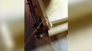 ΑΗΔΙΑ: Υπάλληλος ουρεί  μέσα στα δημητριακά της Kellogg’s (βίντεο ΣΟΚ)