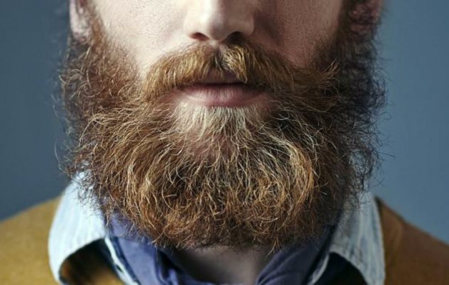 Το μούσι ξεπερνά σε βρομιά τη λεκάνη της τουαλέτας