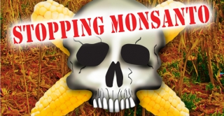 H εταιρεία «TΕΡΑΣ» ΜΟΝSANTO των γενετικά Μεταλλαγμένων Προϊόντων «ΣΠΕΡΝΕΙ» τον ΚΑΡΚΙΝΟ στον ΚΟΣΜΟ