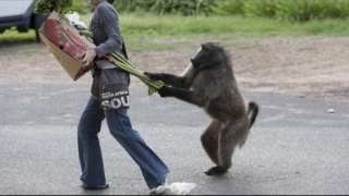 Aπίστευτα βίντεο με ...αποτυχημένες στιγμές
