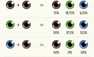 Σε ποιον θα μοιάσει το παιδί: Μάτια, μαλλιά και χαρακτηριστικά (οδηγός)