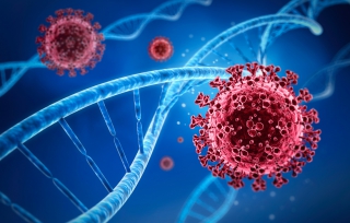 Κορονοϊός: Αγγειακή και όχι αναπνευστική η νόσος σύμφωνα με νέα έρευνα