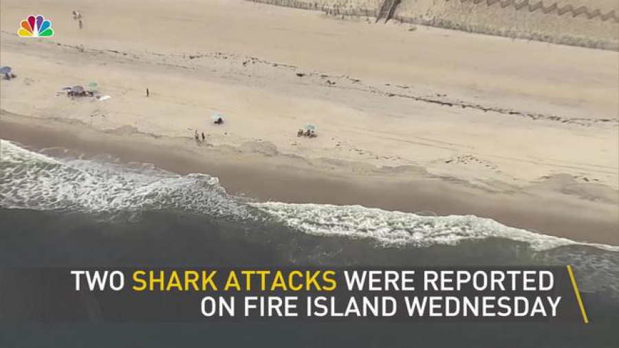 ΣΟΚ στο ΛΟΝΓΚ ΑΙΛΑΝΤ από την Διπλή ΕΠΙΘΕΣΗ ΚΑΡΧΑΡΙΩΝ σε ανήλικα παιδιά!