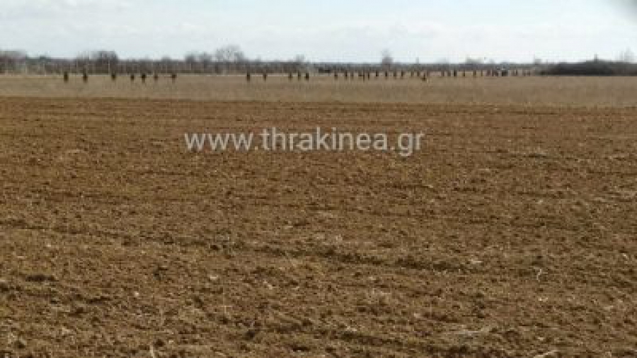 Ένας αναγνώστης με καταγωγή από τις Καστανιές γράφει. . . (Αναδημοσίευση από Thraki Nea)