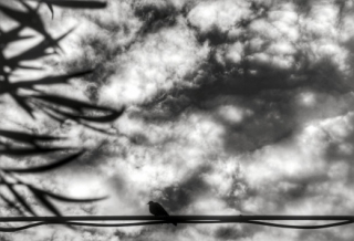 GfK: Οι Ελληνες δεν ελπίζουν σε τίποτα, οι ευρωπαίοι αναπτύσσονται