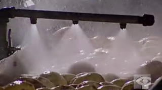 ΒΙΝΤΕΟ – Πώς φτιάχνονται τα πατατάκια: ΑΝΑΤΡΙΧΙΑΣΤΙΚΟ βίντεο από εργοστάσιο που θα σας κόψει την όρεξη…