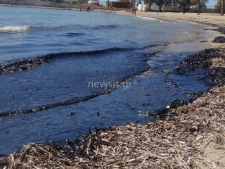 Η πετρελαιοκηλίδα της Σαλαμίνας "μαύρισε" Πειραϊκή, Φρεαττύδα, Καλαμάκι, Αγιο Κοσμά, Ελληνικό ακόμα και Γλυφάδα - Έλεγχοι από το Λιμενικό κατά μήκος όλης της ακτογραμμής στα νότια προάστια της Αττικής