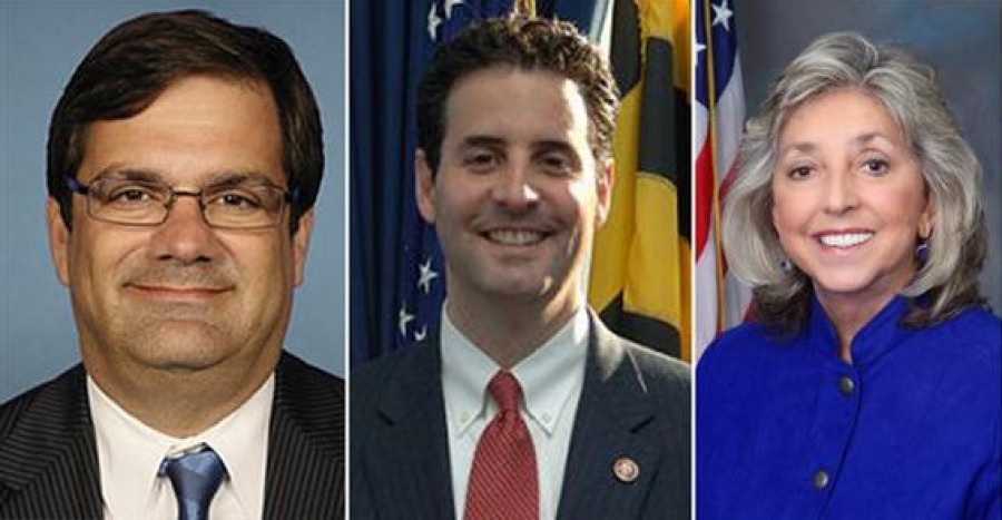 Ποιοι ομογενείς εξελέγησαν στις ενδιάμεσες εκλογές